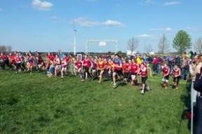 开云kaiyun-青少年体育活动参与动机分析与提升，青少年体育活动参与动机分析与提升研究